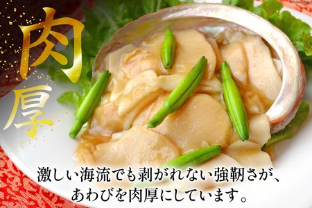 アワビ 鮑 天然 蝦夷あわび パック 約1kg [たみこの海パック 宮城県 南三陸町 m304amh560080]