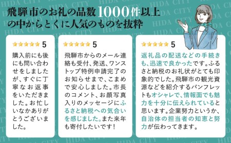 後からゆっくり返礼品を選べる♪飛騨市のふるさと納税カタログ 飛騨牛 日本酒 ヨーグルト チーズ 定期便 など約200種類以上[cat50] カタログ