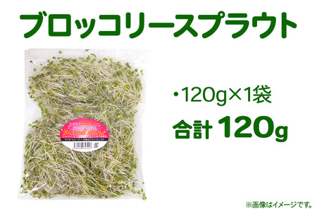 有機ベビーリーフ＆ブロッコリースプラウトのセット 宮城県栗原市産