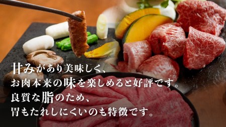飛騨牛 サーロインステーキ 150g×2枚 300g 飛騨の牧場で育った熟成『山勇牛』牛肉 和牛 サーロイン ブランド牛 和牛 A4 A5 ランクのみ[Q624]