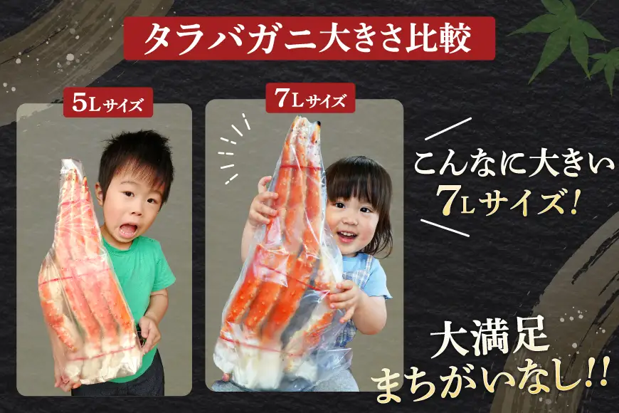タラバガニ 約1.5kg 極太7Lサイズ かに 蟹 カニ [宮城県 気仙沼市 20564326]