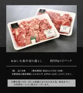 おおいた和牛　切り落とし　約1.0kg A01095