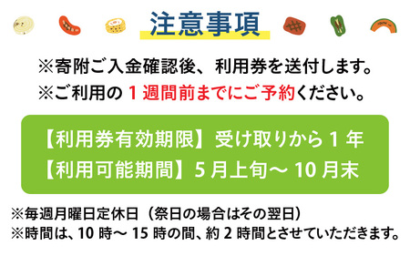 高原BBQ＋高原ミニソフト＆ドリンク付き 4名様分【準備・炭起こし・片付け込み】【利用可能期間 5月上旬～10月末】