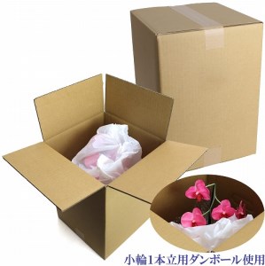 綺麗で丈夫な三河陶器で贈る光触媒胡蝶蘭小輪１本立（モカの陶器×ピンクの花）H100-082