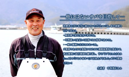 【内閣総理大臣賞受賞！】ひむか本サバ１尾(セミドレス)400ｇ以上 N025-YA0386