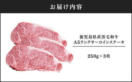 1398-1 鹿児島県産黒毛和牛A5ランクサーロインステーキ 750g（250g×3枚） KN041-001-02 肉 牛肉 冷凍