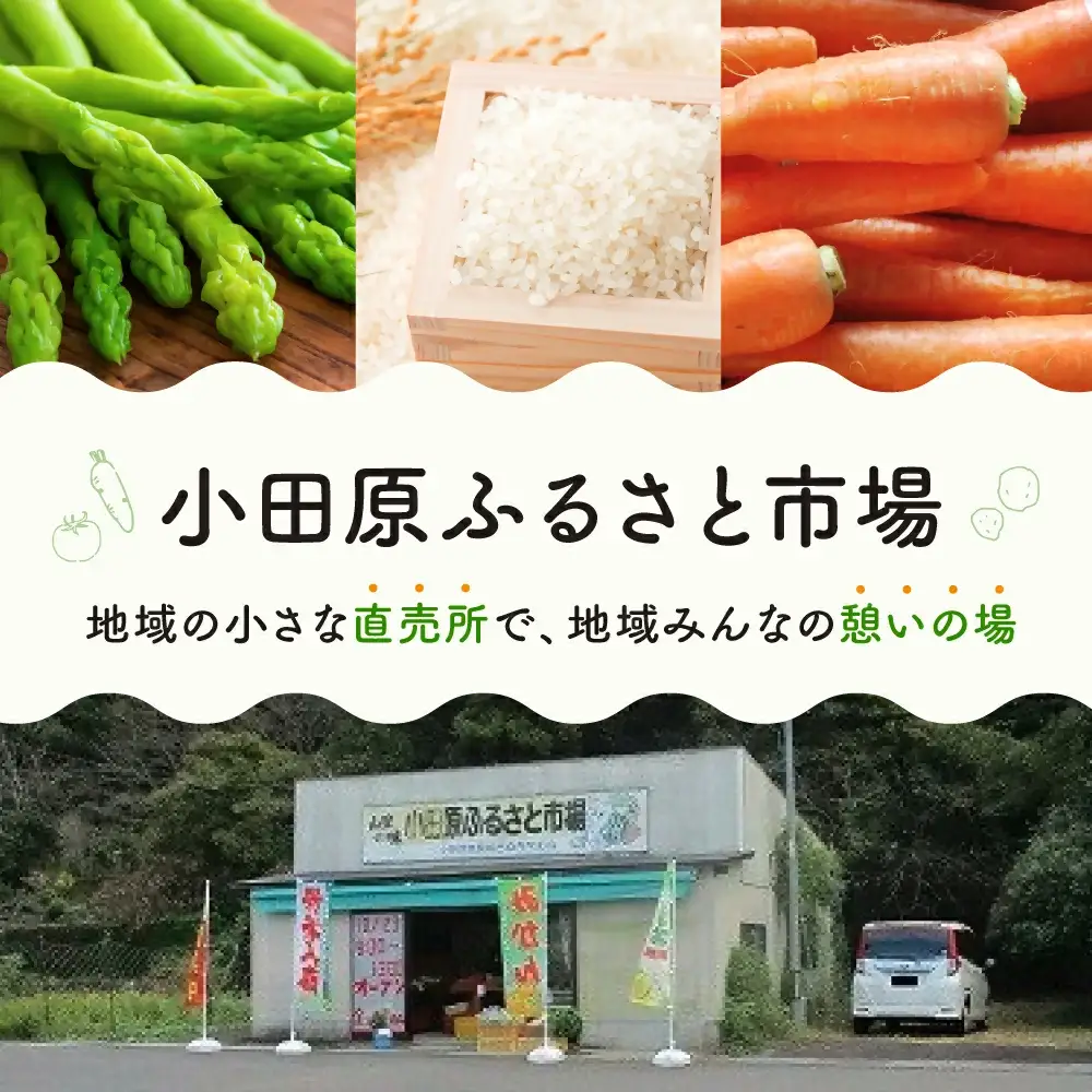 グリーンアスパラガス（800g）【7月~9月配送】 アスパラ