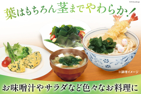 新芽わかめ 300g(約100g×3袋) わかめ [かわむら家 宮城県 気仙沼市 20564375]