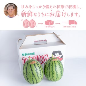 【0269-2】農園直送！原出さんの小玉スイカ（ひとりじめ）《先行予約》【2026年6月下旬頃から順次発送予定】【配送不可地域：北海道、沖縄、離島等】