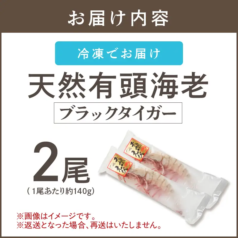 特大 天然海老(有頭･2尾)【A9-023】