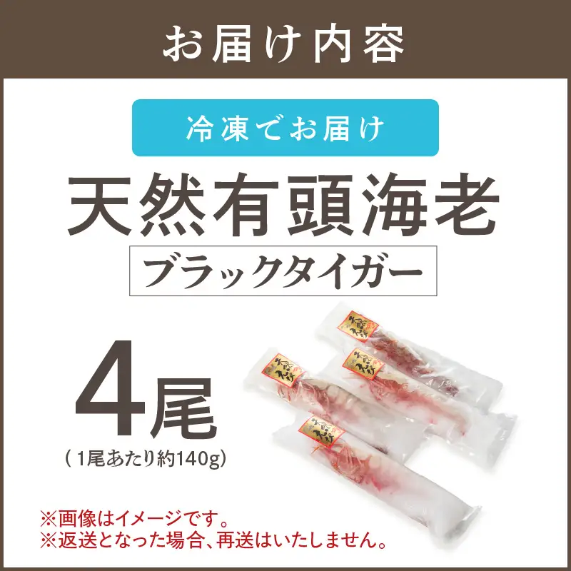 特大 天然海老(有頭･4尾)【C8-021】