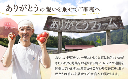 《令和7年産先行予約》有機大玉トマト 調理用イタリアントマト 有機JAS認定 合計2.5kg[Q633] syun9