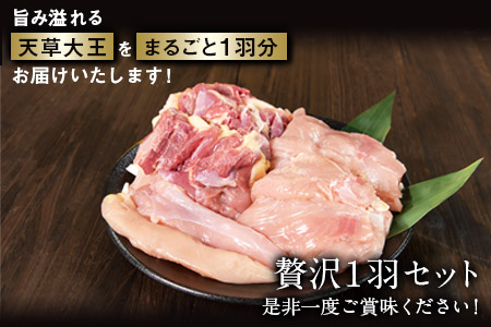 天草大王 贅沢1羽セット 約1.5kg【幻の地鶏】もも・むね・ささみ 各2枚《60日以内に出荷予定(土日祝除く)》