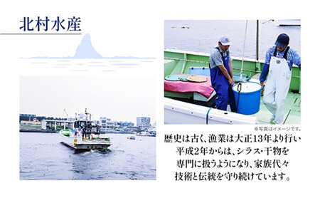 茅ヶ崎 しらす 生 新鮮 600g 網元 船 茹で上げ ゆでる 天日干し 白 透明 湘南 相模湾 朝獲れ  食卓  しらす丼 ポン酢 卵 海 漁 湯切り 濃厚 ふっくら 冷凍 神奈川県 茅ケ崎市