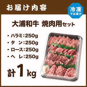 大浦和牛焼肉セット(1kg)《 牛肉 牛 国産 焼肉 セット おすすめ ロース 美味しい 牛タン ハラミ ヘレ フィレ ヒレ ヒレ肉 食べ比べ バーベキュー 》【2405A00206】