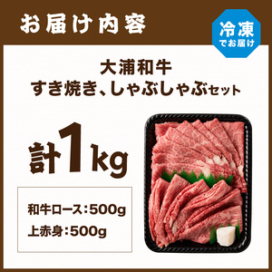 大浦和牛すきやき・しゃぶセット(1kg)【2405A00207】