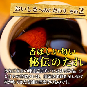 焼あなご(2～3串)《 魚介類 アナゴ 穴子 あなご 焼きあなご 海鮮 天然 ふるさと納税 あなご 加古川市 パリパリ 美味しい 穴子丼 串焼き お取り寄せ 人気 ギフト プレゼント おすすめ 》【2402D00701】