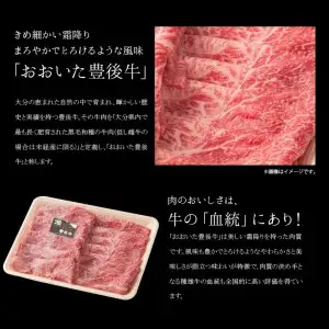 百年の恵み『おおいた和牛』づくし定期便 T10005
