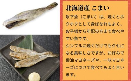 北海道一夜干し三昧デラックス 最大2kg 計10尾 訳あり 一夜干し