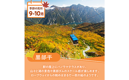 立山黒部アルペンルート ( 立山駅 ～ 扇沢駅 ※片道 ) 優待券 立山黒部貫光 観光 旅行 券 チケット 体験 トラベル 黒部 富山県 立山町 F6T-780