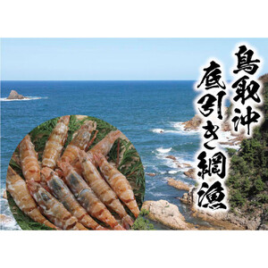 鳥取県産 生食用もさ海老 山田屋