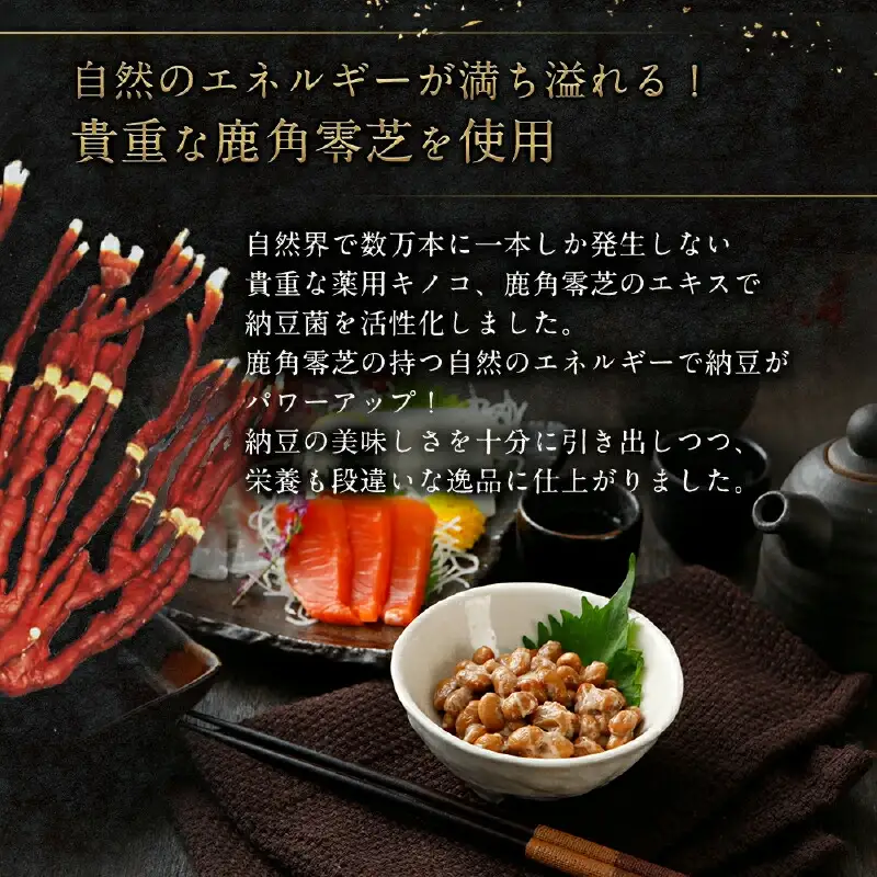 ランボッケセット（鮭節・鹿角・大粒・小粒・黒豆の5種）豆の文志郎 高級 お取り寄せ 北海道産 納豆