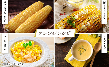 向井さんが作ったとうもろこし ゴールドラッシュ 朝もぎ直送［Lサイズ10本］※8月下旬より順次出荷 先行予約 野菜 朝採り 生 野菜 産地直送 ジューシー 焼きとうもろこし コーンスープ BBQ