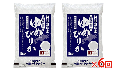 北海道赤平産 ゆめぴりか 10kg (5kg×2袋) 特別栽培米 【6回お届け】 米 北海道 定期便 お米 