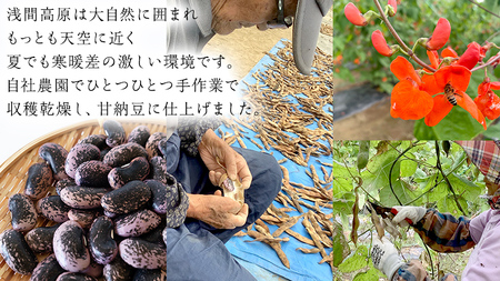 浅間高原花豆の甘納豆 花豆 群馬 甘納豆 あやめ亭 群馬 贈答 贈り物 ギフト お中元 お歳暮 [AE002tu]