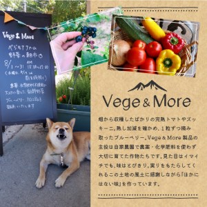 八ヶ岳高原野菜つぶつぶケチャップ４本セット [h120]