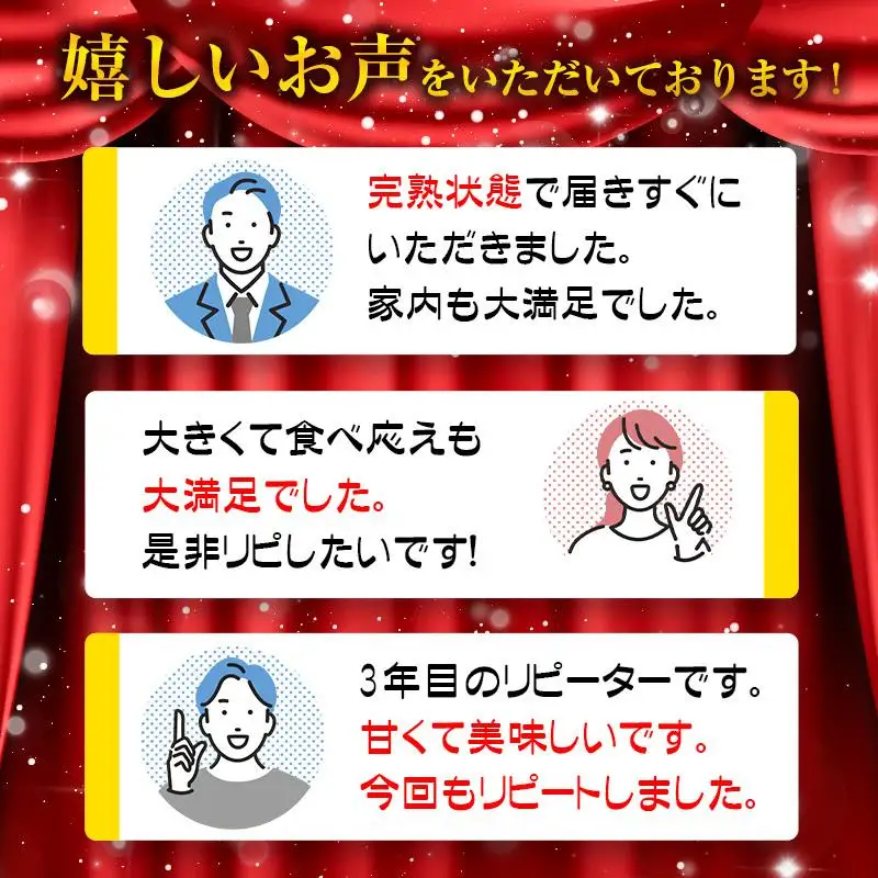 【先行予約】宮崎県産完熟マンゴー3L×2個 西都市特産品宮崎マンゴー＜18-3a＞2026年発送