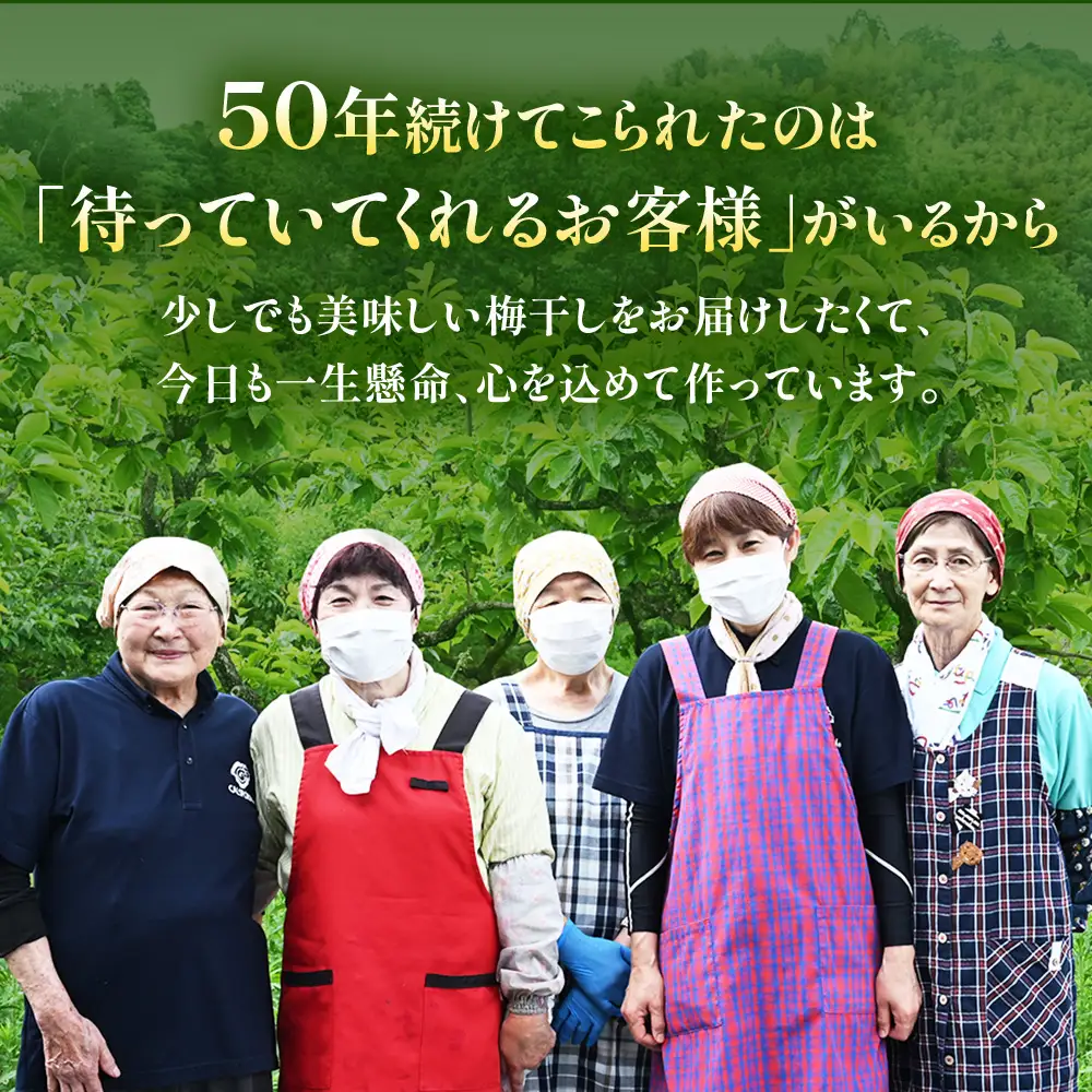 梅干し（小梅干し）と赤しそふりかけのセット 無添加｜多気町産 TH-02