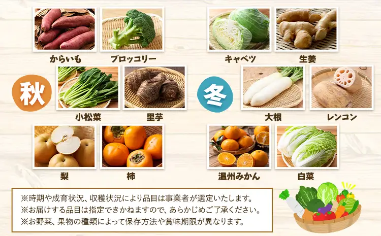 【6ヶ月定期便】旬の野菜詰め合わせセット 10-15品 野菜