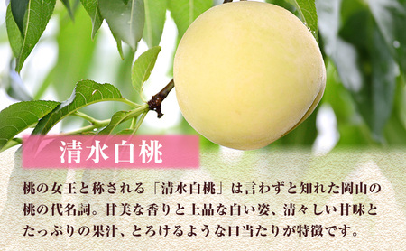  【 2026年 先行予約】 桃 岡山県産 清水 白桃 約1.5kg(4～6玉) 《2026年7月中旬-8月上旬頃出荷》 白桃 岡山 はくとう スイーツ フルーツ 果物 先行予約 数量限定 期間限定 岡山 里庄町 モモ もも 桃 