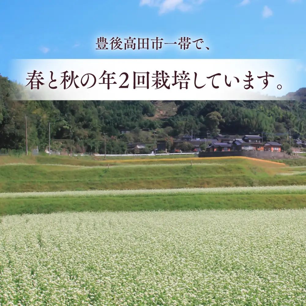 B1-37 そばの実ぜんざい 150g×3袋