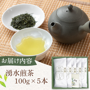 《数量限定》鹿児島県湧水町産！栽培期間中農薬・化学肥料不使用！湧水煎茶(100g×5本) 国産 九州産 鹿児島県産 茶葉 お茶 茶 日本茶 緑茶 煎茶 一番茶 湧水茶 浅蒸し茶 ギフト 贈答 プレゼント 贈り物 令和7年産 【神田茶園】_y312