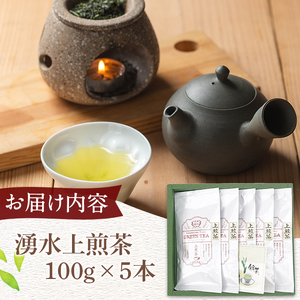 《数量限定》鹿児島県湧水町産！栽培期間中農薬・化学肥料不使用！湧水上煎茶 計500g(100g×5本) 国産 九州産 鹿児島県産 茶葉 お茶 茶 日本茶 緑茶 上煎茶 一番茶 湧水茶 浅蒸し茶 ギフト 贈答 プレゼント 贈り物 令和7年産 【神田茶園】_y313