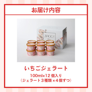 いちごジェラート詰め合わせ(12個入り)_いちご ジェラート 3種類 × 各 4個 100ml 計 12個 詰め合わせ プレミアム いちごミルク あまおう ヨーグルト ホワイトショコラ 紅ほっぺ 煌めく シャーベット かおりの 恋みのり さがほのか ブレンド 誕生日 お中元 ギフト用 おすすめ 久留米市 送料無料 〔Dw014〕