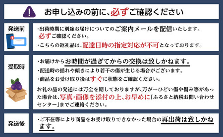 北海道 洞爺湖町産 フレッシュ ブルーベリー 500g 4パック 計2kg 7月20日から順次お届け お届け 北海道産 ブルーベリー 果物 果実 フルーツ 新鮮 国産 ベリー 農作物 お取り寄せ 冷凍 長期 保存 送料無料