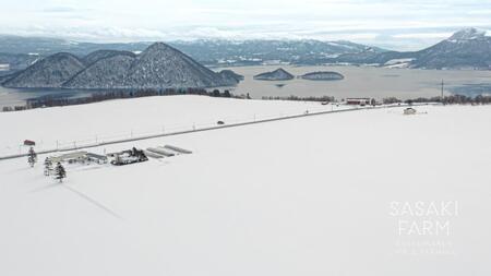 旬の野菜詰め合わせ ～ありがとうBOX2026・大～ 12月1日～1月31日頃お届け 先行予約 北海道 野菜 やさい 詰め合わせ セット 北海道産 常備菜 加工品 自然栽培 佐々木ファーム 産地直送 洞爺湖町