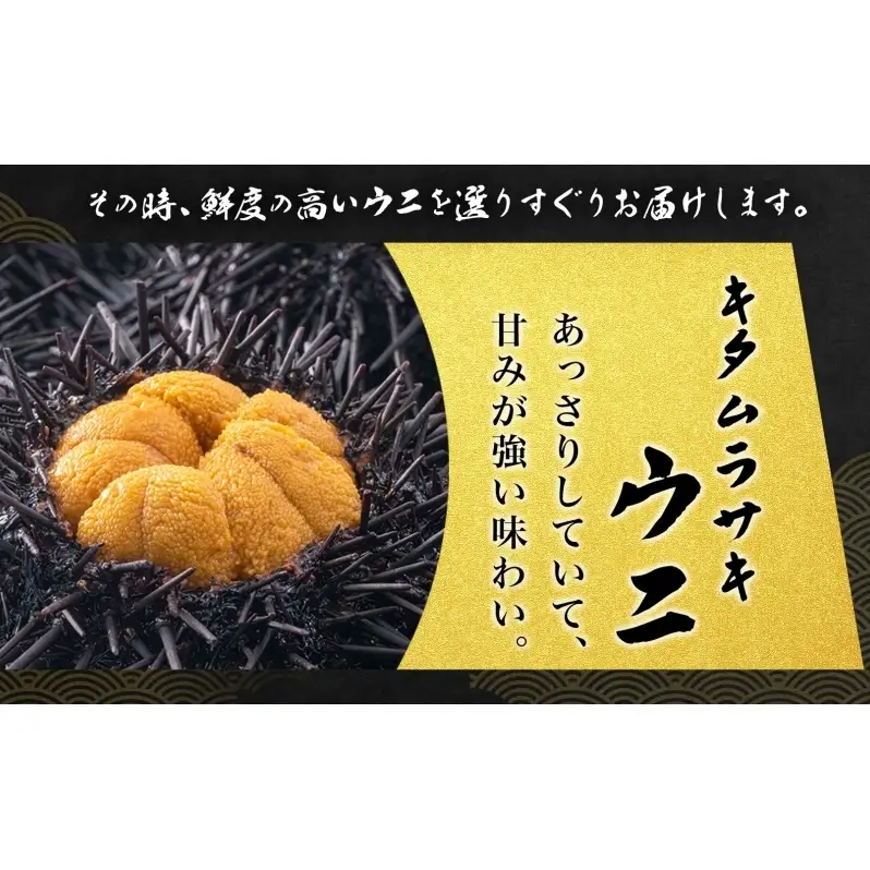 ミョウバン不使用 塩水 ウニ100g 1パック 7月下旬頃までお届け [水揚げ後 順次出荷] キタムラサキウニ うに ウニ 雲丹 ムラサキウニ 北海道産 魚貝 魚介 海鮮 海産 小川商店 送料無料 北海道 洞爺湖
