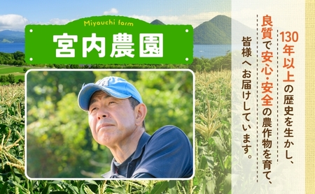 北海道産 ゆめぴりか 5kg  令和 7年産 財田米 たからだ米 お米 米 精米 北海道米 ご飯 ライス ブランド米  国産米 白米 ギフト お取り寄せ 産地直送 宮内農園 送料無料 北海道 洞爺湖町