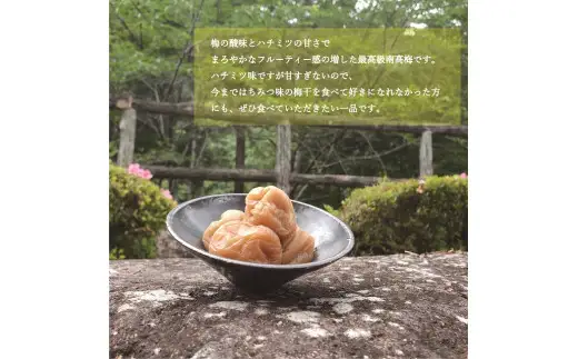 【贈答用】紀州南高梅 食べ比べセット 500g×2　（はちみつ・こんぶ風味）【inm900-9C】