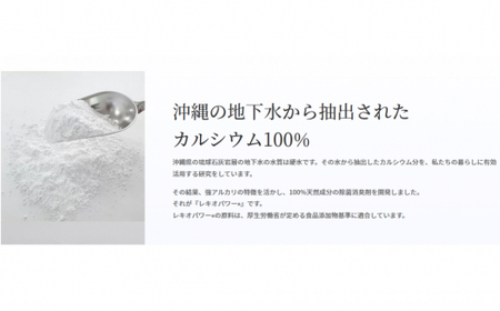 レキオパワー除菌スプレー（480ml×1本と100ml×2本）