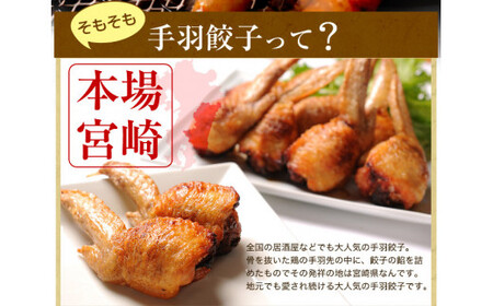 【宮崎空港で大人気!】TV某番組で餃子日本一獲得!＜馬渡の手羽餃子18本＞翌月末迄に順次出荷 餃子の馬渡 手羽先餃子 国産100％ 宮崎餃子 ギョウザ ギョーザ おかず もっちり 国産 特産品 宮崎県 高鍋町 たかなべ 冷凍【TVで話題沸騰！】【c002_mw_x3】