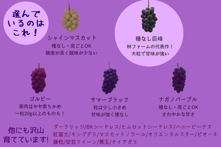 【予約受付・数量限定】犬山産 完熟 種なし 巨峰2キロ [0489]