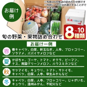 i460 旬の野菜・果物おまかせセット(8～10種類)ツルの恩返し野菜セット！鹿児島県出水市より国産野菜を市場直送！  野菜 果物 くだもの 詰め合わせ セット 国産 鹿児島県産 市場直送 旬 季節 何が届くかはお楽しみ【出水市出水駅観光特産品館 飛来里】