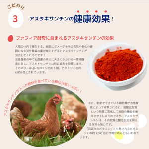 かっぱの健卵 15個入り【大熊養鶏場】たまご 卵 玉子 タマゴ 生卵 こだわり 卵かけご飯 TKG 国産 お取り寄せ 北海道 比布町 ぴっぷ 1006-001