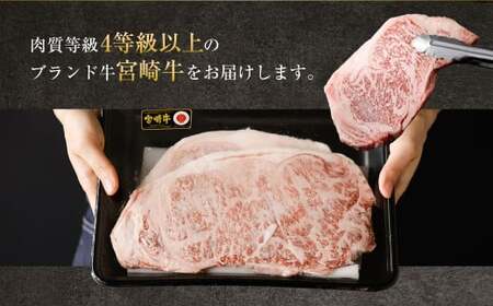 ＜特選宮崎牛ロースステーキ 1kg＋ブランドポーク100g×5枚＞入金確認後、翌月末迄に順次出荷【c057_hn_x4】