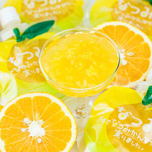 みかんジュースと甘夏みかんゼリー「なつみ」の詰め合わせ♪【レギュラージュース720ml×1本・なつみ５個】化粧箱 オレンジジュース みかんゼリー プレゼント 贈答用 三重県 熊野市【kmkn0146】